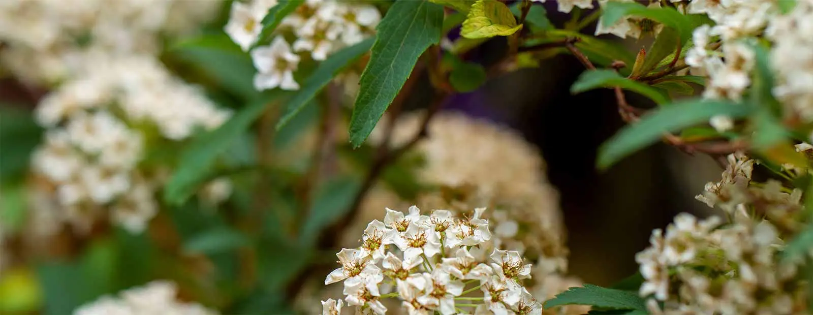 ベイコート清水イメージ01